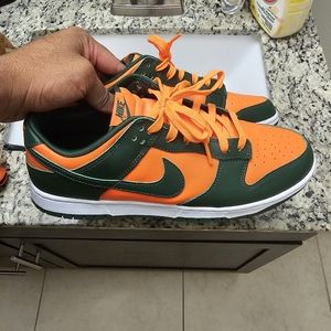 Nike Dunk low Hurricane